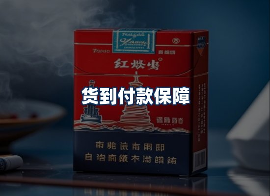 专业团队办公环境